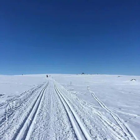 Koselig Familiehytte Pa Vakre - Naer Geilo Dagali