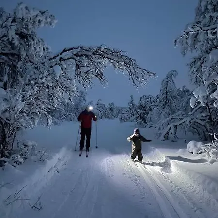 Koselig Familiehytte Pa Vakre - Naer Geilo Holiday home Dagali
