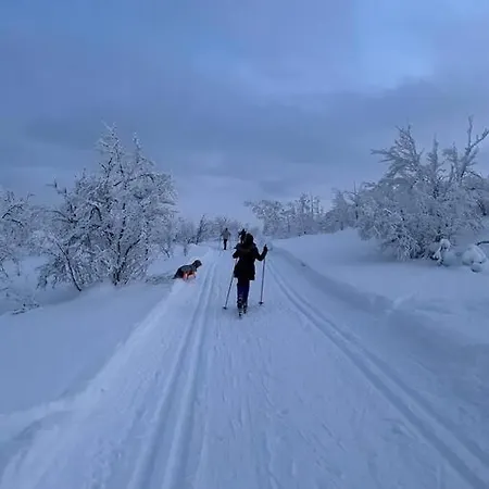 Koselig Familiehytte Pa Vakre - Naer Geilo Holiday home *