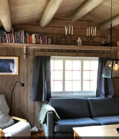 Koselig Familiehytte Pa Vakre - Naer Geilo