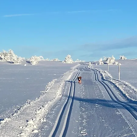 Holiday home Koselig Familiehytte Pa Vakre - Naer Geilo Dagali