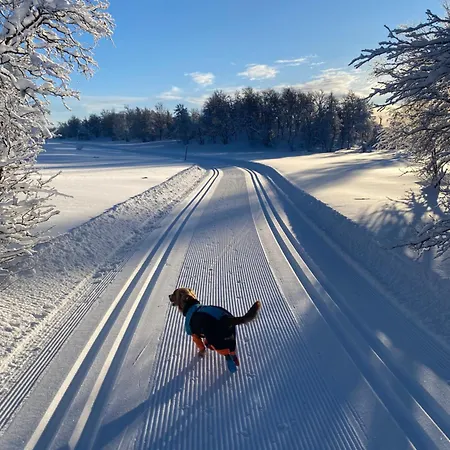 Koselig Familiehytte Pa Vakre - Naer Geilo Dagali