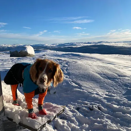 Koselig Familiehytte Pa Vakre - Naer Geilo Holiday home Dagali